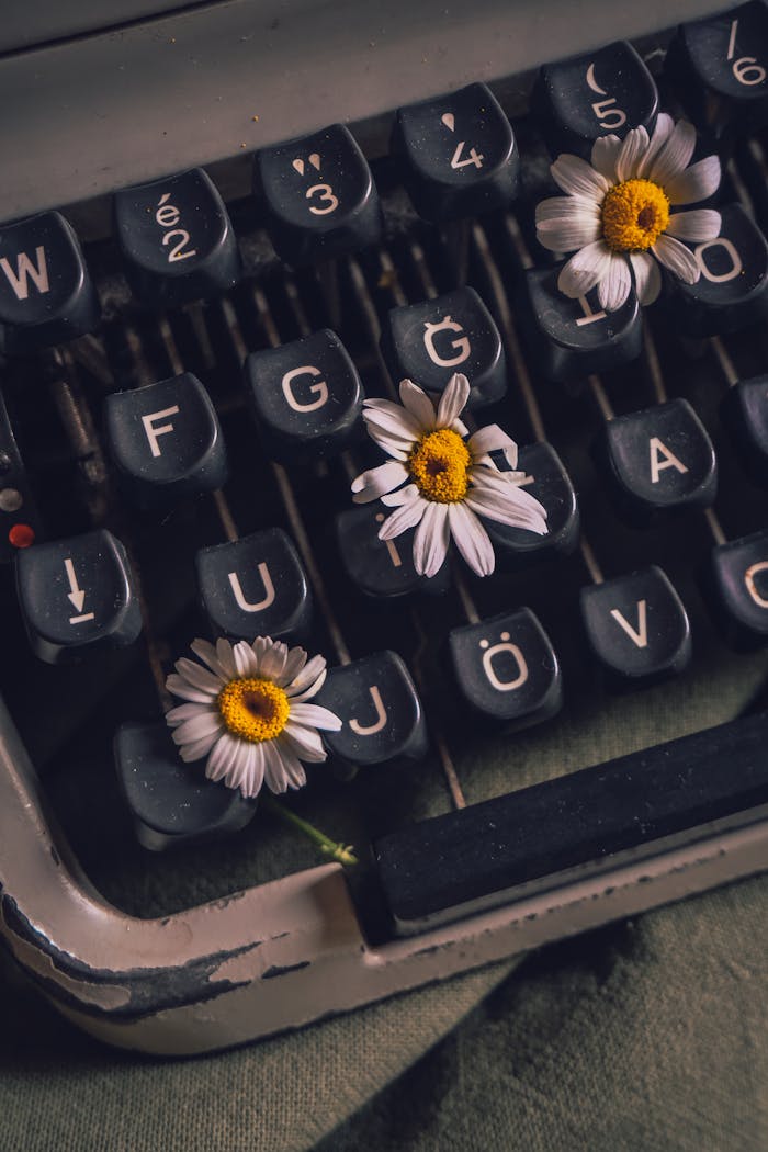 Artistic close-up of daisies on a vintage typewriter, highlighting retro charm and creativity.